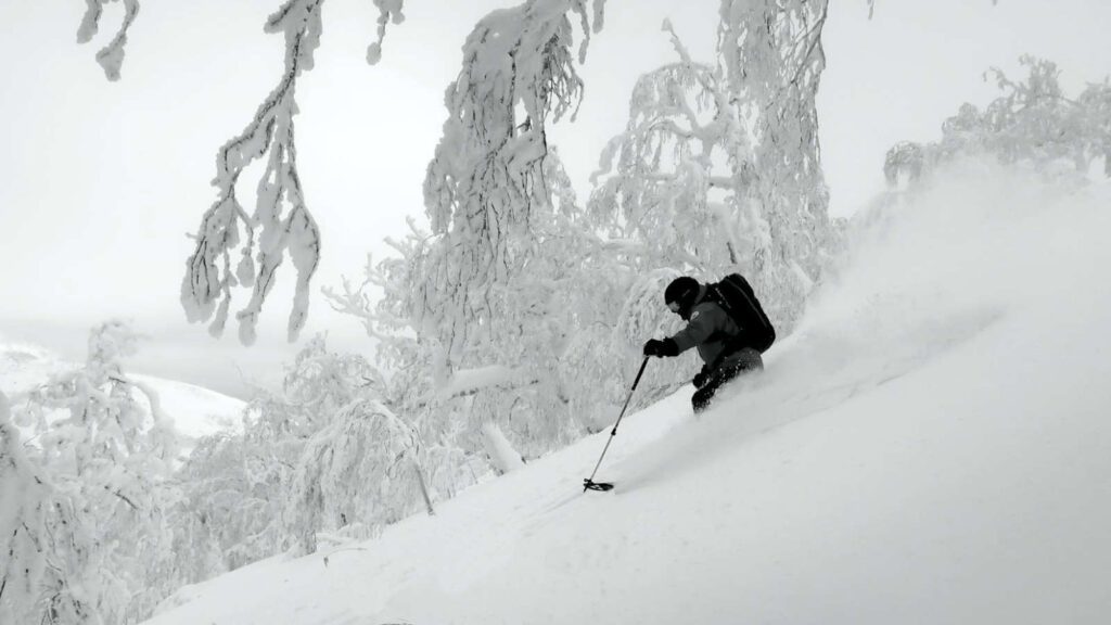 Hinterland-Hokkaido-Tour_powder-ride