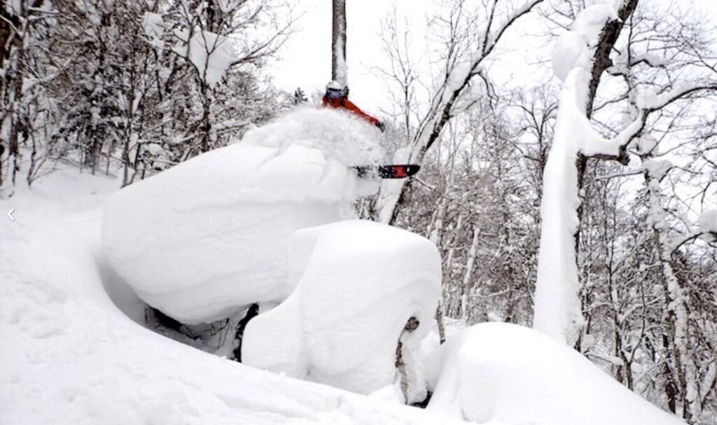 Hinterland-Hokkaido-Tour_powder-ride2