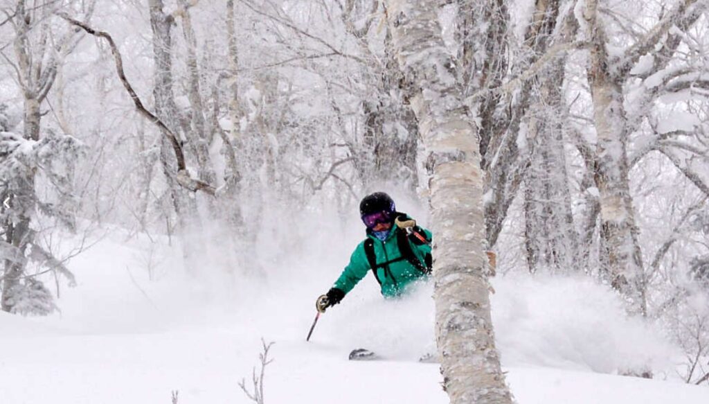 South-Hokkaido-Tour_Treeskiing